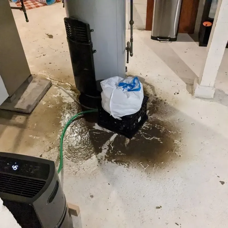 Sewage Backup Cleanup Service in Sikeston, MO
